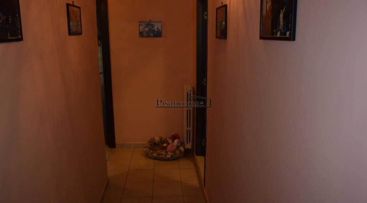 DSC_0150_risultato