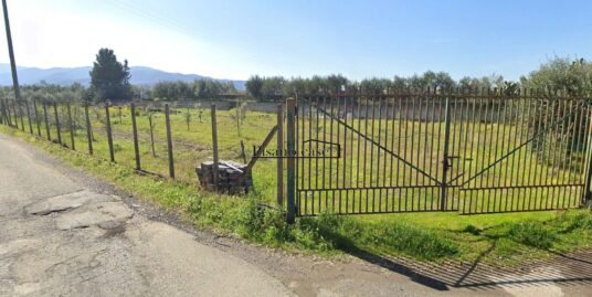 Rif. 09/23 VENDESI TERRENO AGRICOLO DI PICCOLE DIMENSIONI A DUE PASSI DAL CENTRO