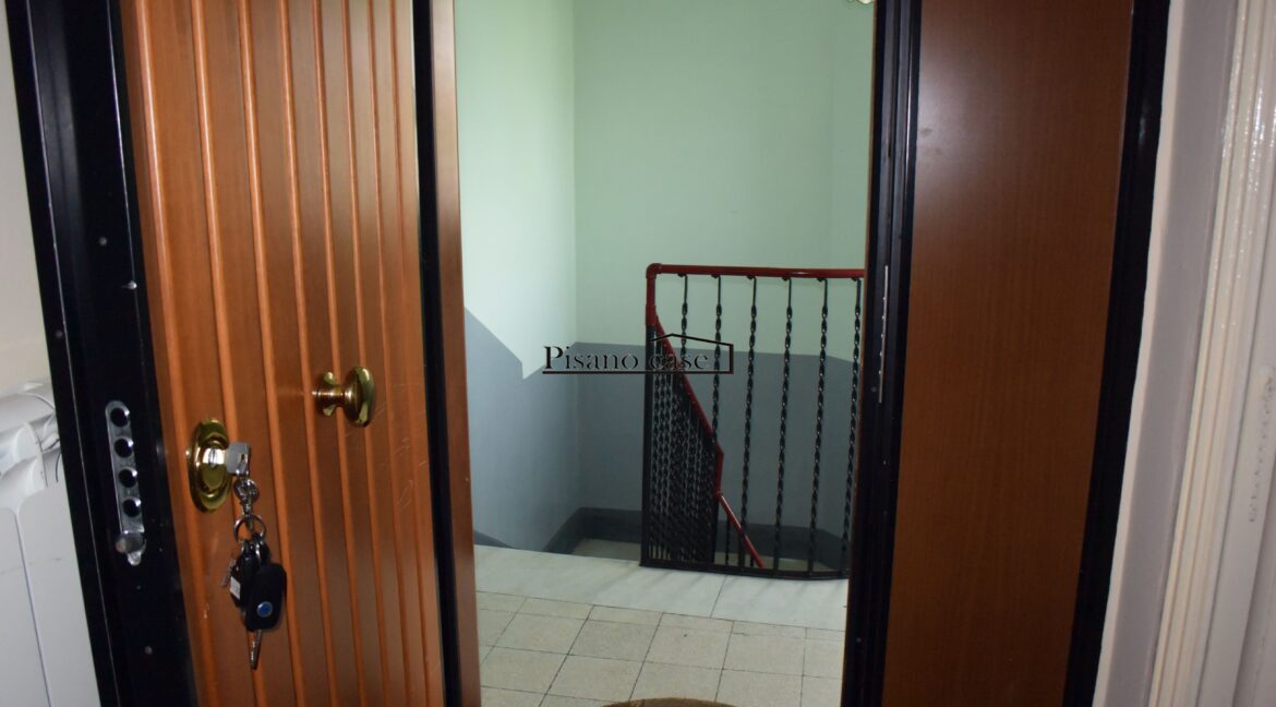 DSC_7113_risultato