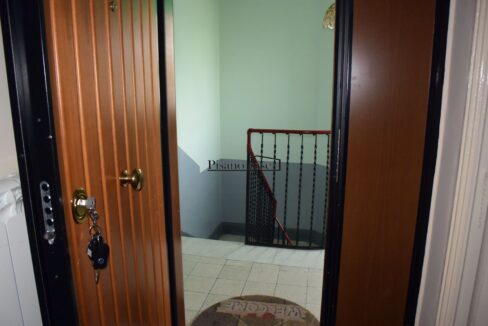 DSC_7113_risultato
