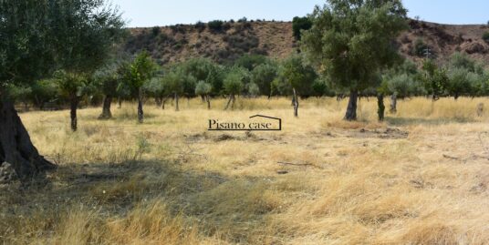 Rif. 29/23 VENDESI TERRENO AGRICOLO CO ANNESSA PORZIONE DI RUDERE