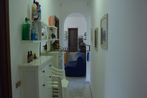 DSC_7048_risultato