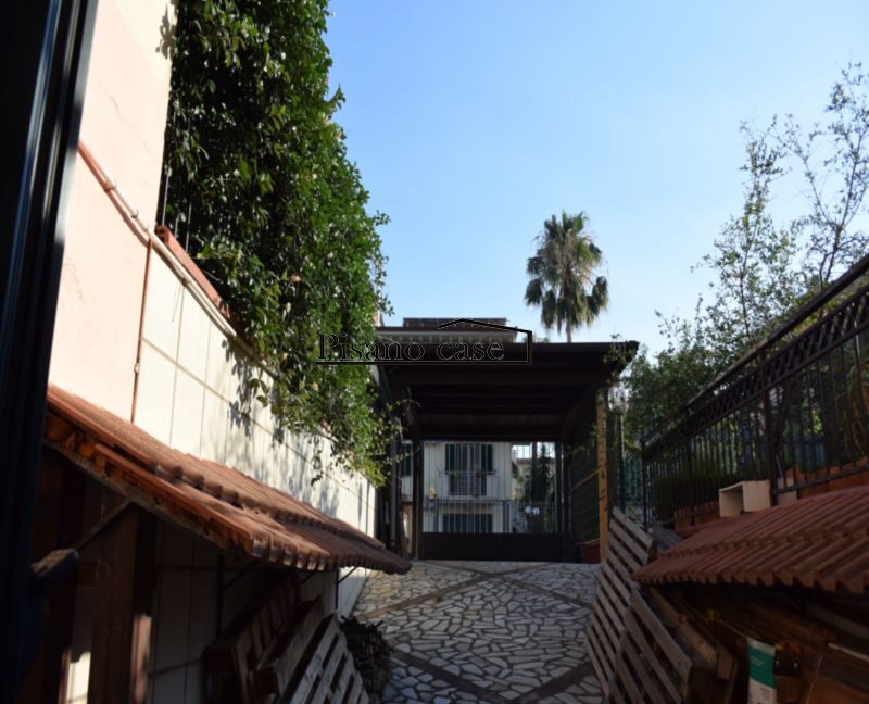 DSC_4524_risultato