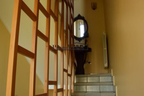 DSC_4530_risultato