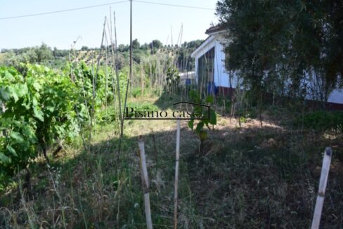 DSC_7243_risultato