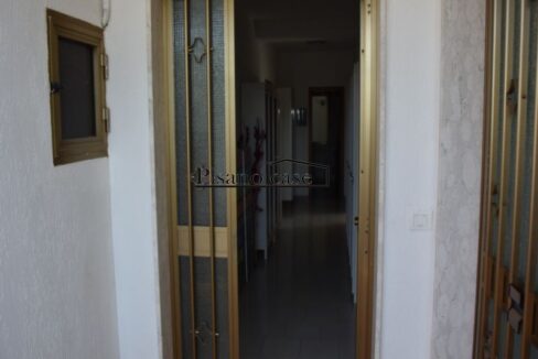 DSC_7271_risultato