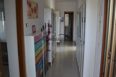 DSC_7280_risultato