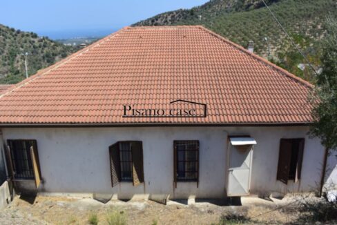 DSC_5005_risultato