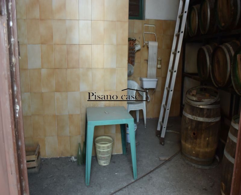 DSC_5021_risultato